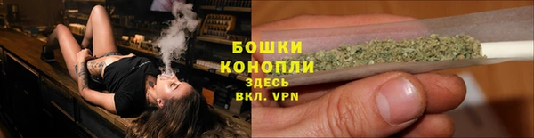шишки Карталы