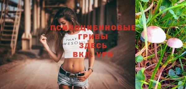 марки nbome Карпинск