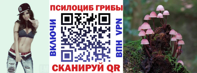 Купить  Красноуфимск  Галлюциногенные грибы Psilocybine cubensis 